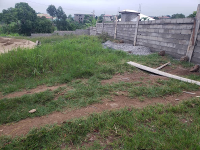 Land mile 17 Buea 1300m2