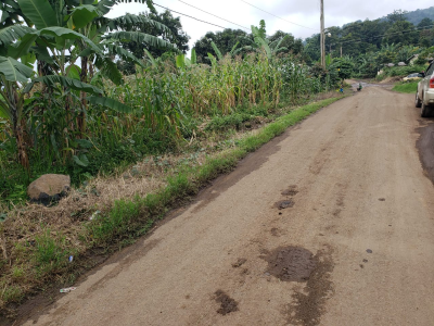 Titled Land Small Soppo Buea 600m2