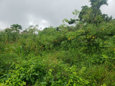 657m2 land in lysoka Buea