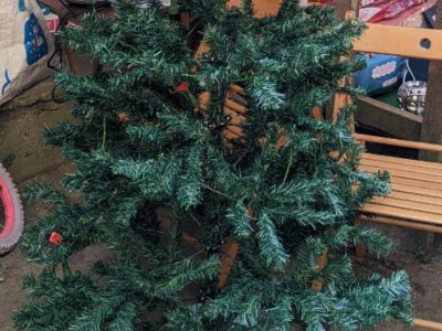 Sapin de Noël ?