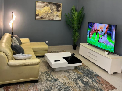 Luxurious Furnished Appartments