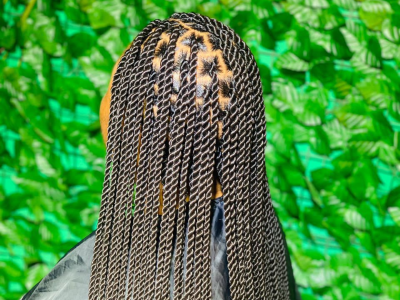 Two Strand twists