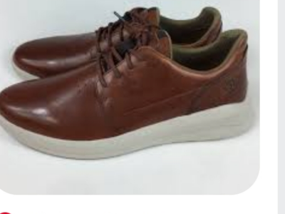 Timberland  bradstreet shoes
