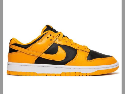 Nike SB Sneakers ( Tennis Homme )