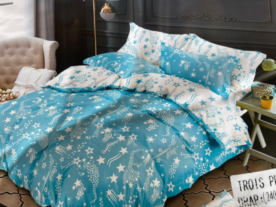 Bedsheet with Pillow cases