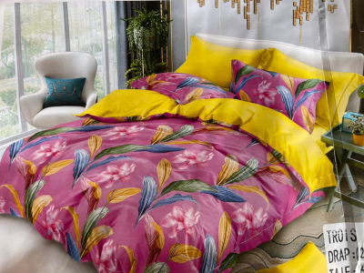 Bedsheet with Pillow cases