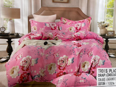 Bedsheet with Pillow cases