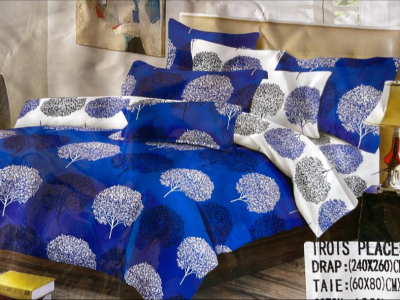 Bedsheet with Pillow cases