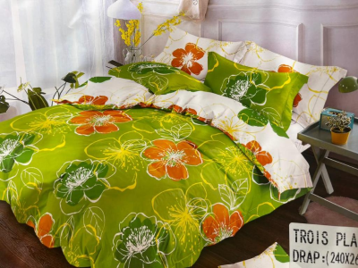 Bedsheet with Pillow cases