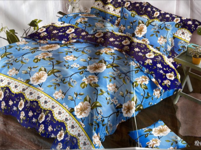 Bedsheet with Pillow cases