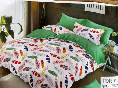 Bedsheet with Pillow cases