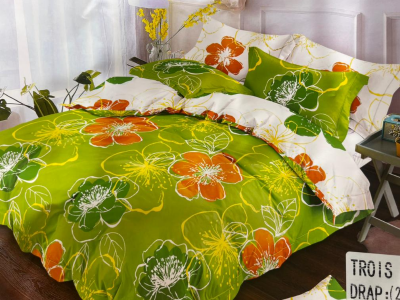 Bedsheet with Pillow cases