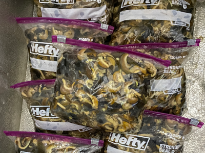 1kg of Fresh Snails
