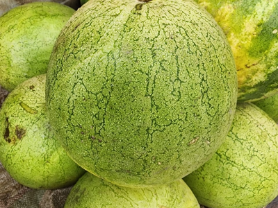 Fruits De Pastèque
