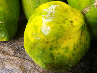 Fruits De papaye