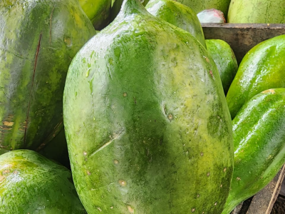 Fruits De papaye