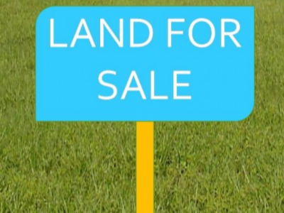 Lands for sale Mile 17 Buea