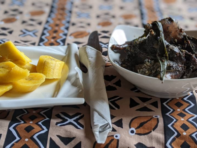 Cochon d'Inde ( cobaye)