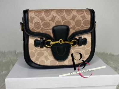 Brown Purse