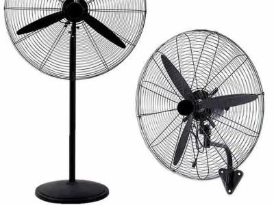 Fans