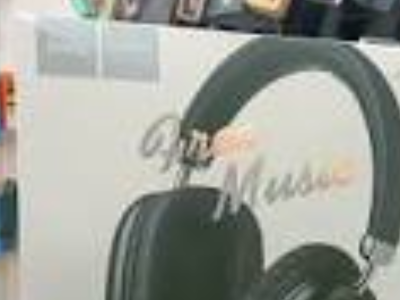 casque hoco w35