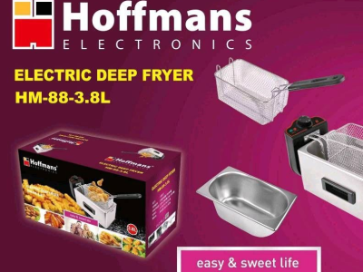 electric deep fryer 3.8L