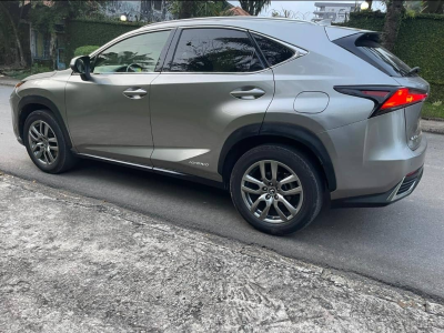 Lexus NX 300 Hybride 2020