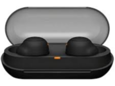 TRUE WIRELESS BLUETOOTH EARPHONES	WF-C500/BZ E