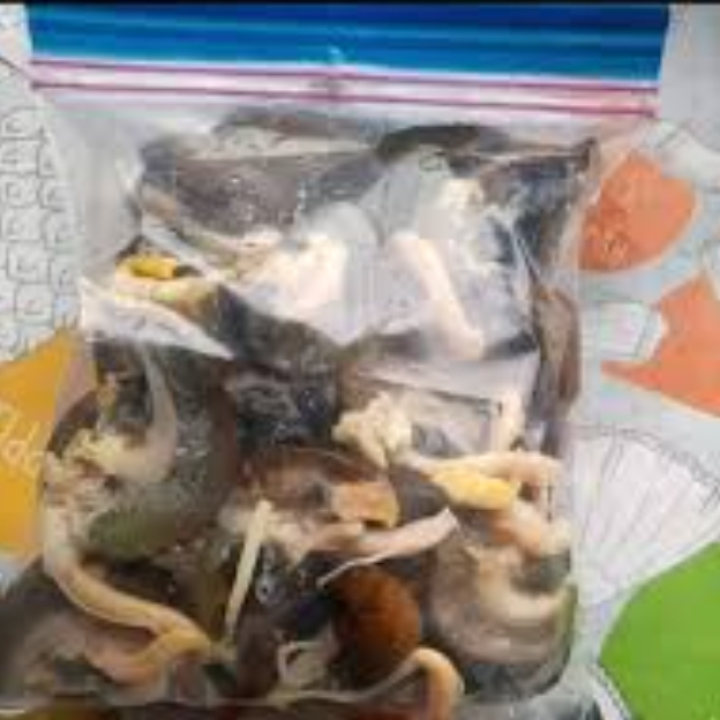 Fresh Snails