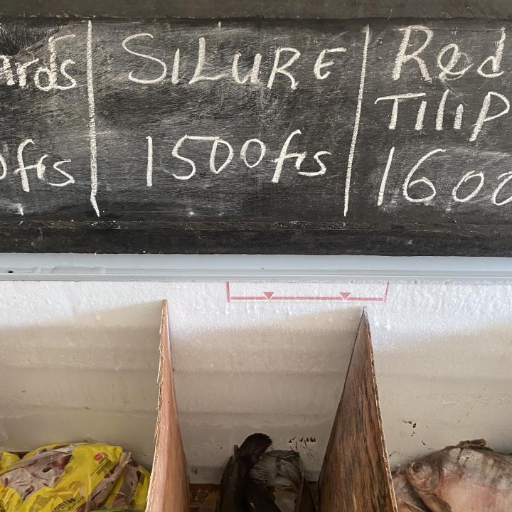 Sillure