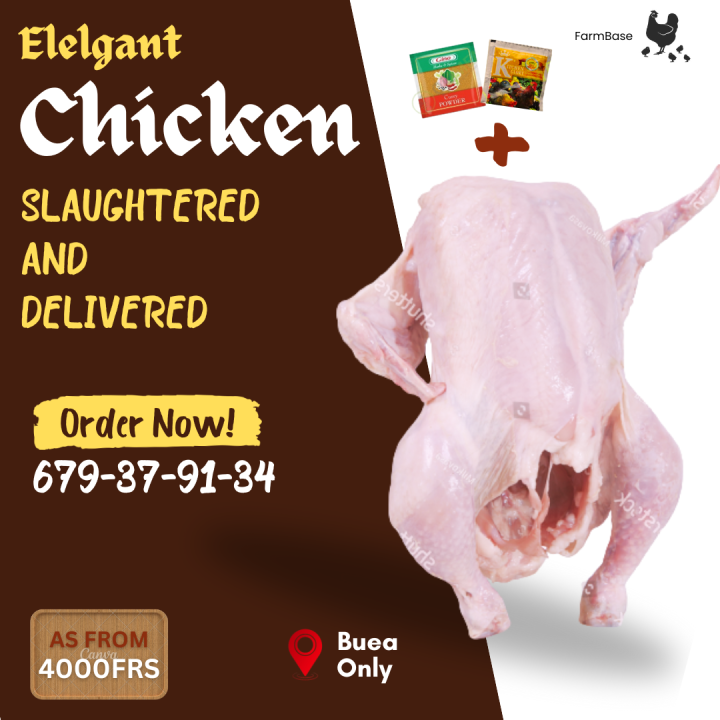 Fresh Chicken