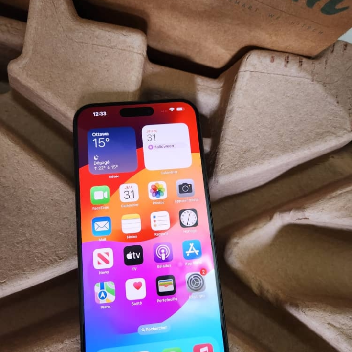 iphone 15 Pro Max 256GB