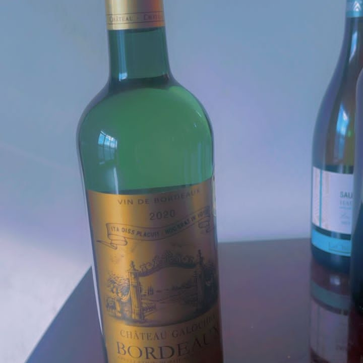 vin de Bordeaux (château de galoche)