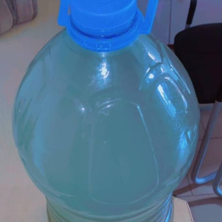 Herbal solution to gastric ulcer
