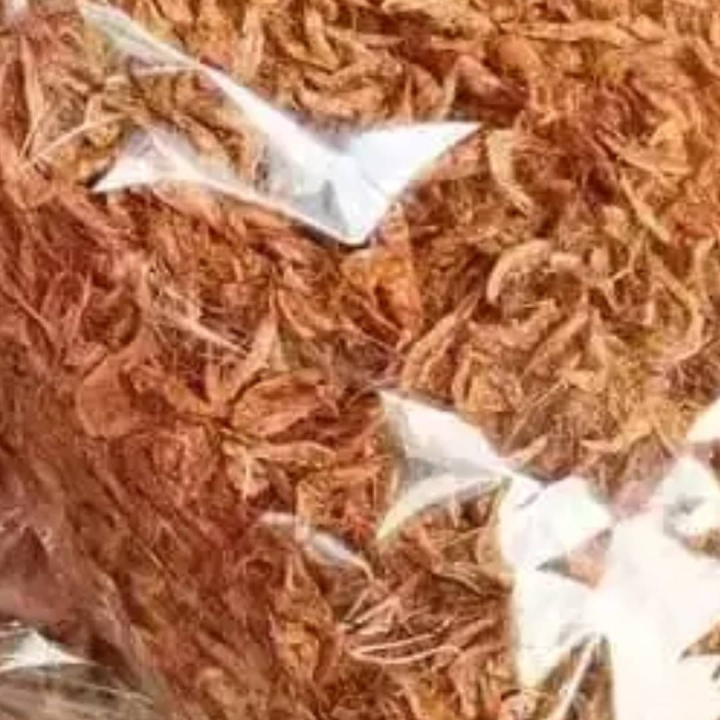 crayfish
