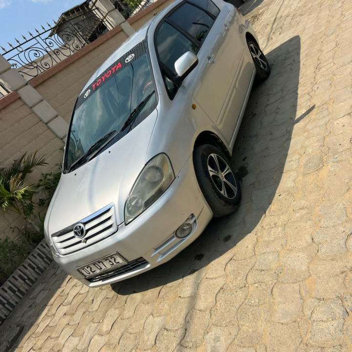Avensis verso