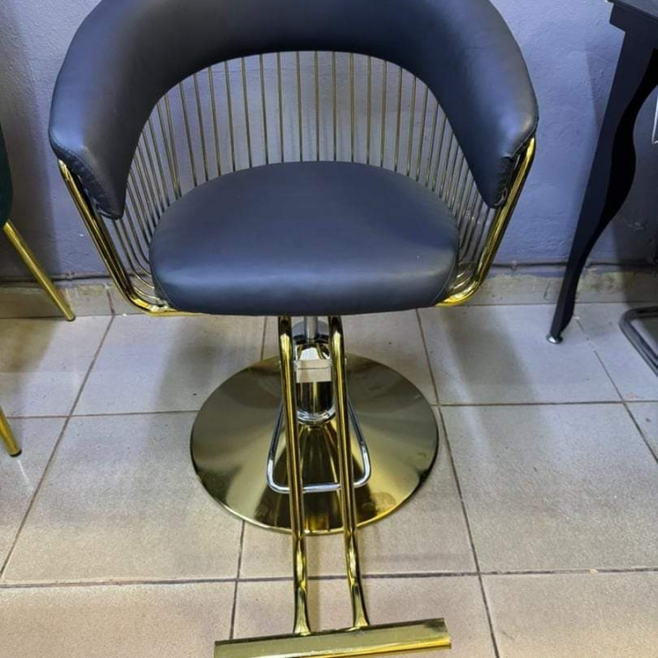 salon hair dressing chair