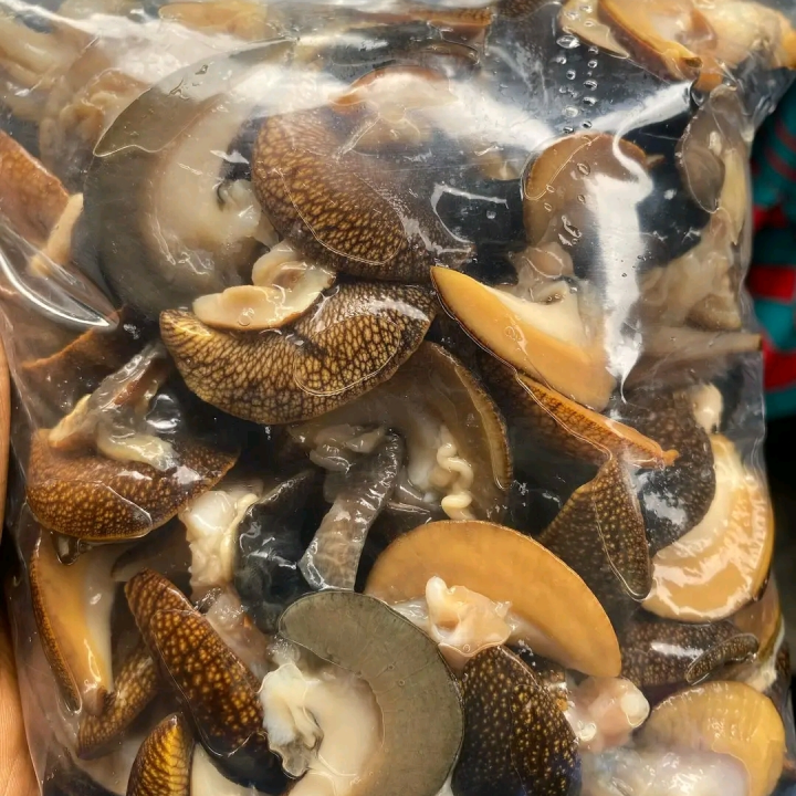 Fresh snails.