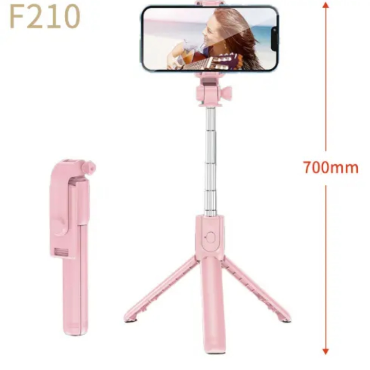 Selfie stick with remote
