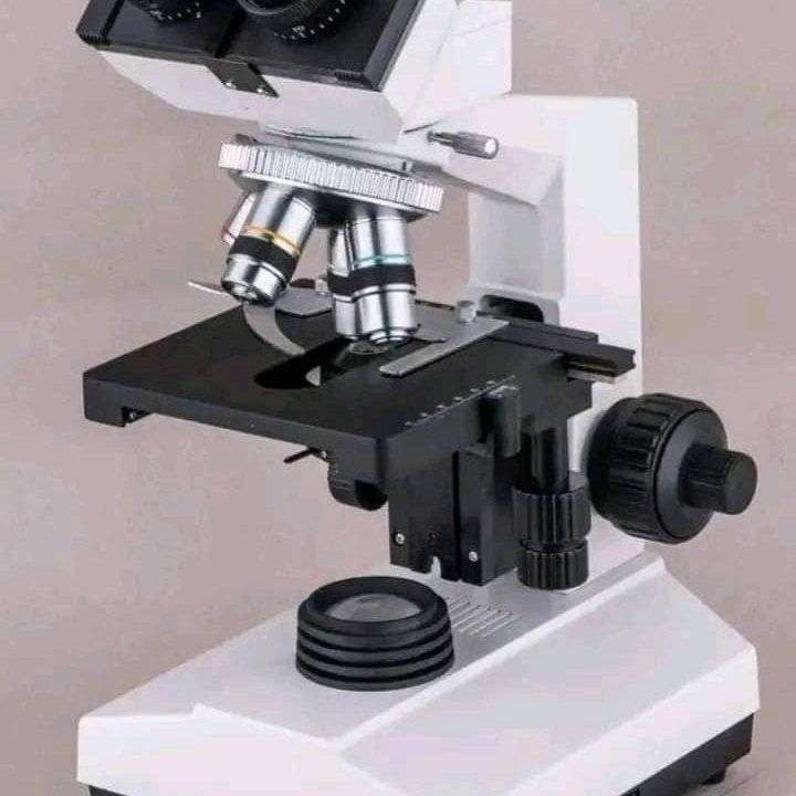 light microscope