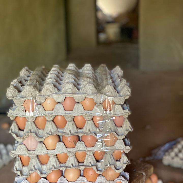 Eggs
