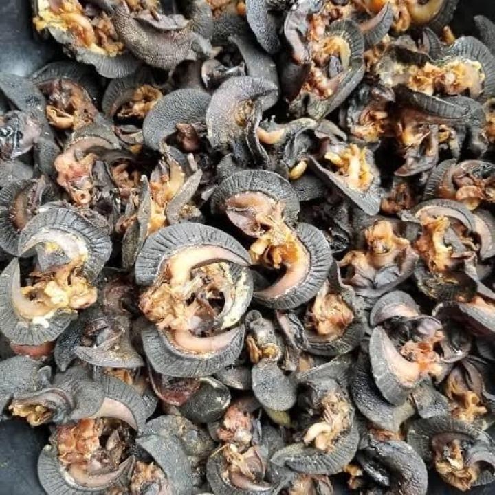 DRIED & FRIED SNAILS FOR SALE