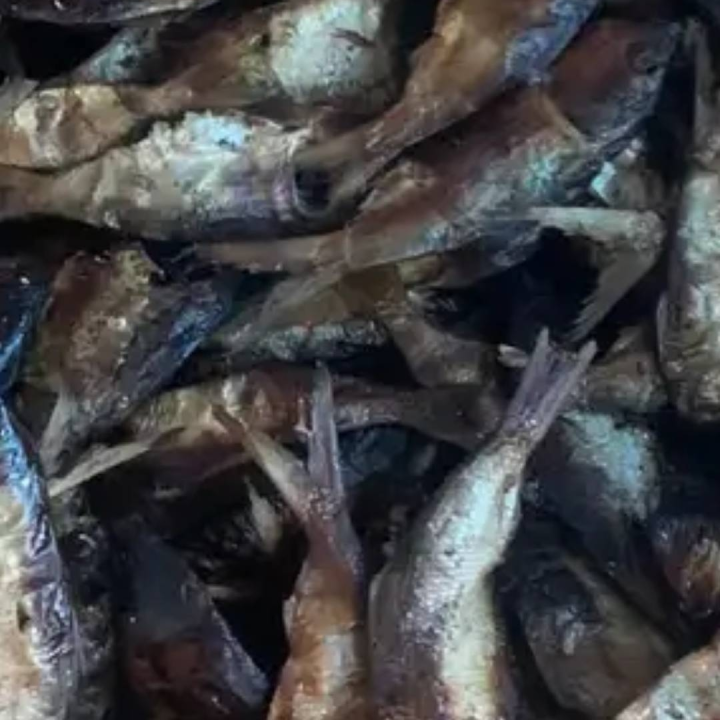 dry fish