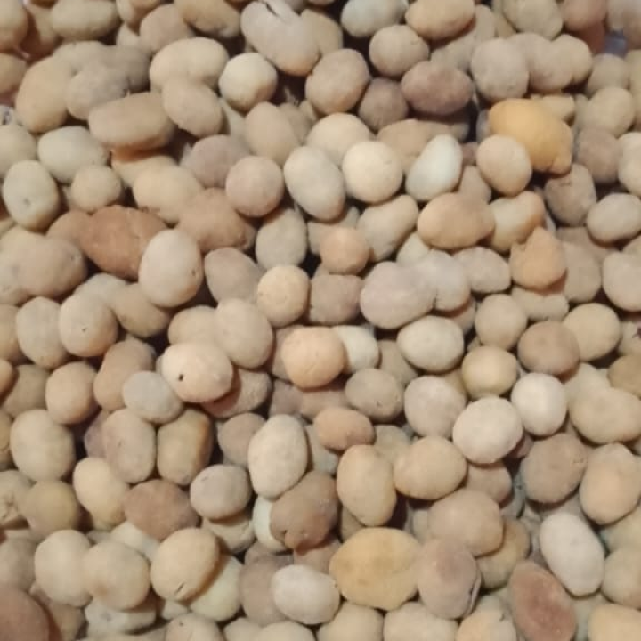 Peanut