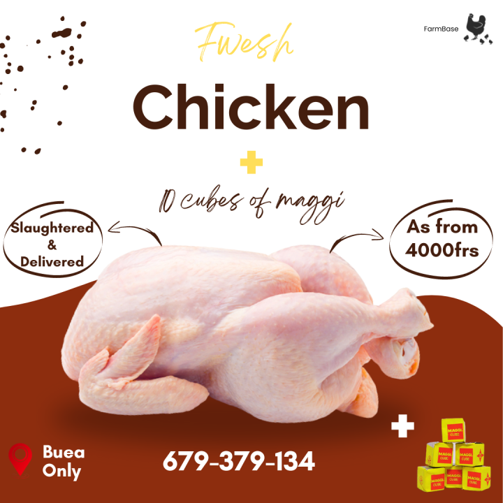 Fresh Chicken