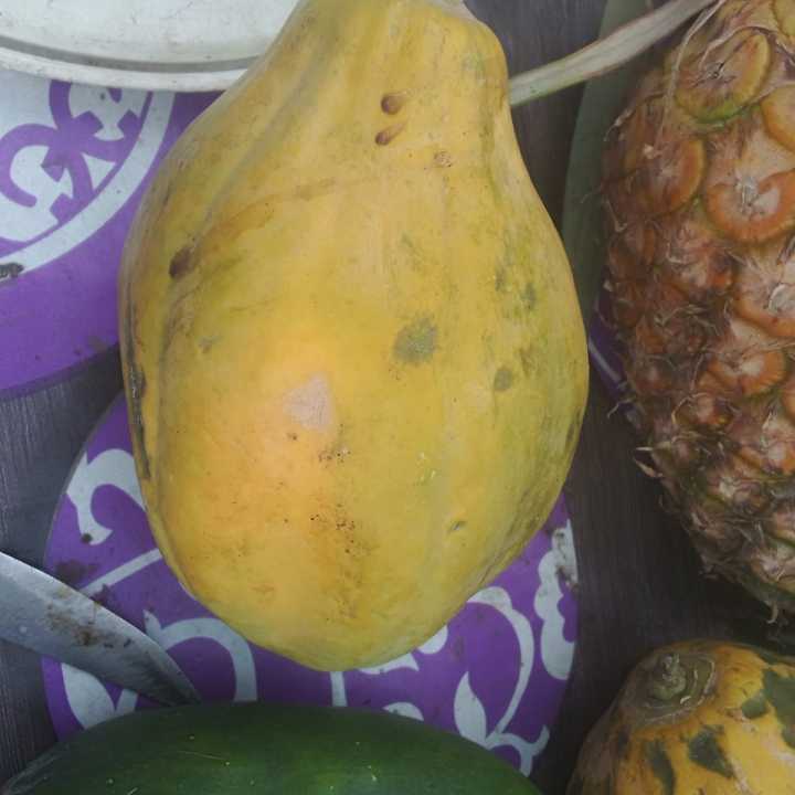 Pawpaw