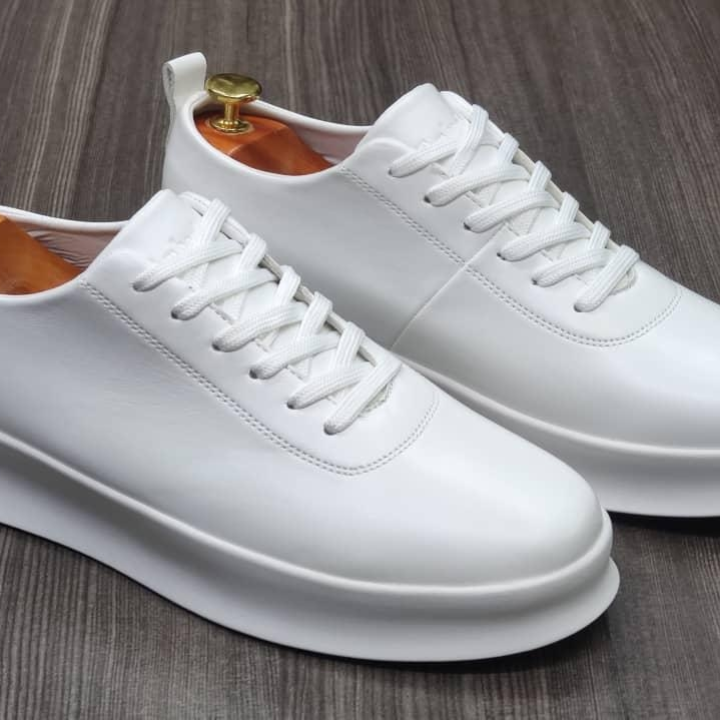 vans blanche