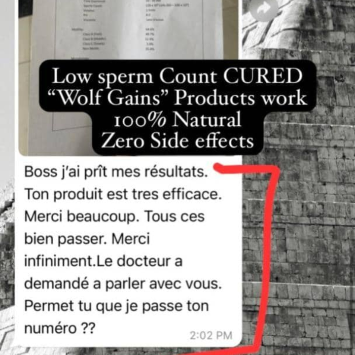 WOLF GAINS LOW SPERM COUNT SOLUTION
