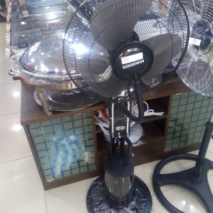 Ventilateur GOODWIN