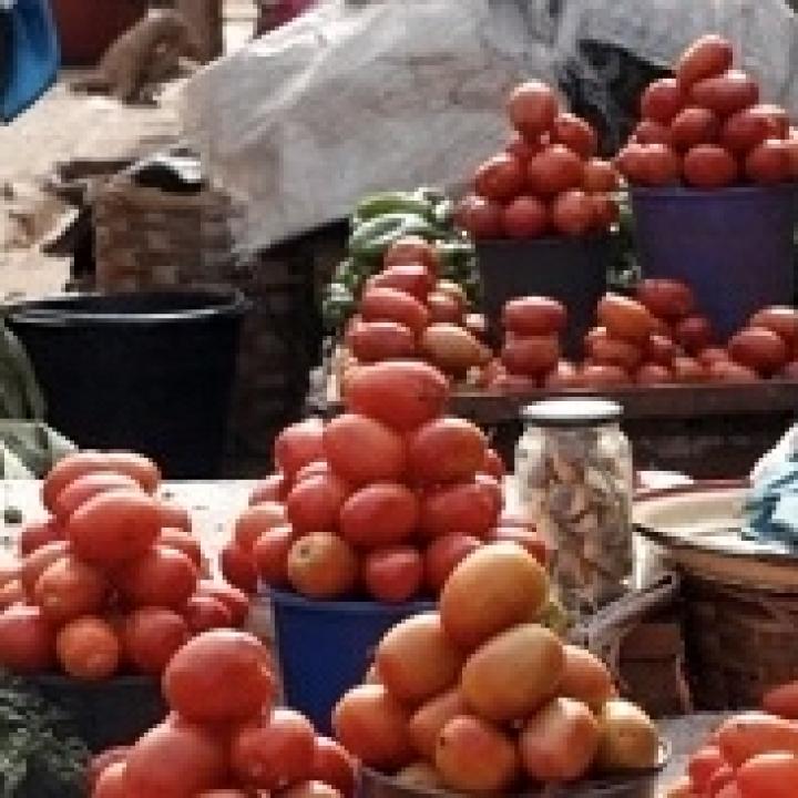 Tomatoes